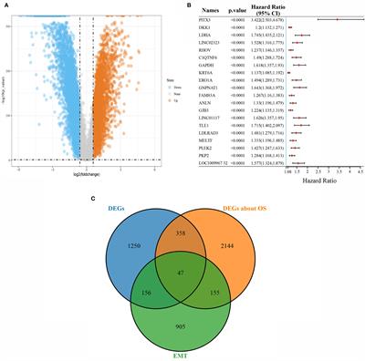 Identification of a Three-Gene Signature Based on Epithelial-Mesenchymal Transition of Lung Adenocarcinoma Through Construction and Validation of a Risk-Prediction Model